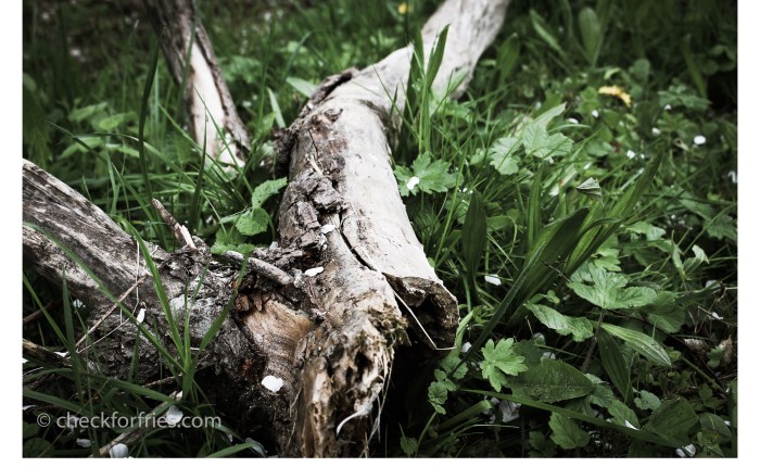 The Power Behind Your&nbsp;Words